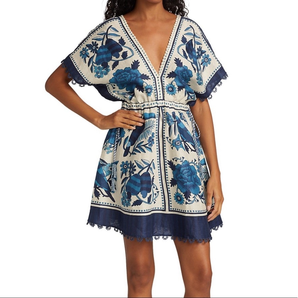 Farm Rio blue and white dress.